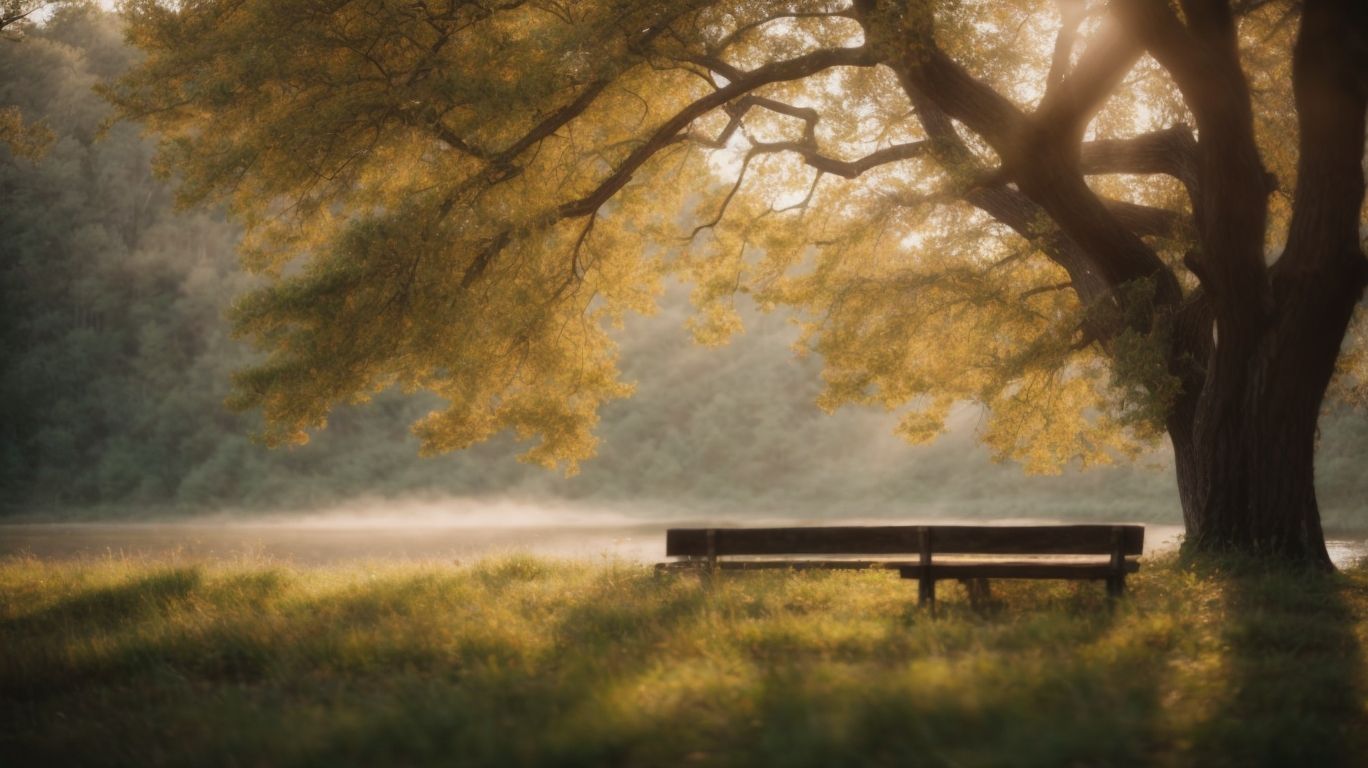 Alcohol Detox York Pa